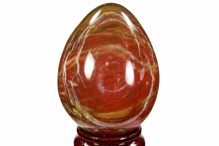 Colorful, Polished Petrified Wood Egg - Triassic #107386
